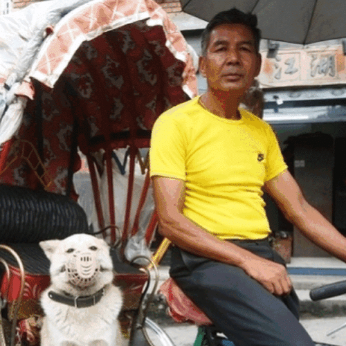 पशु-मानव प्रेम : ठमेलका रिक्साचालक आफ्नै आयु कुकुरलाई थपिदिन चाहन्छन्