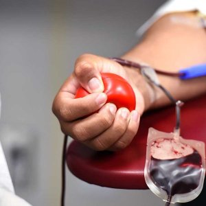 एमएसएम समुदायबाट रक्तदान स्वीकार्ने तयारीमा न्यूजील्याण्ड ब्लड सर्भिस