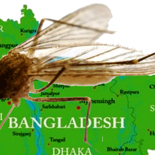 बङ्गलादेशमा डेङ्गुबाट ४०१ मृत्यु एक लाख बढी संक्रमित