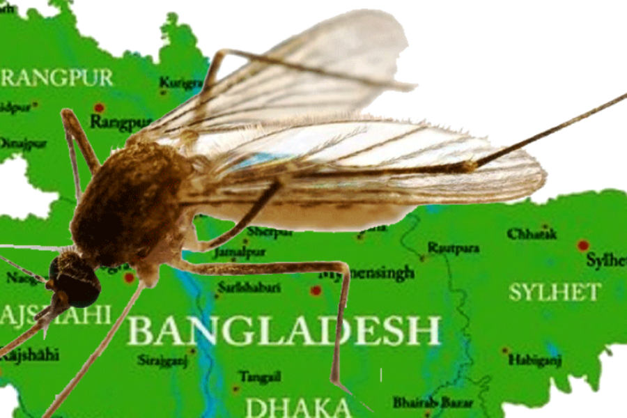 बङ्गलादेशमा डेङ्गुबाट ४०१ मृत्यु एक लाख बढी संक्रमित