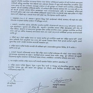 रास्वपा र उज्यालो नेपाल पार्टीबीच सात बुँदे सहमति