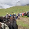 ‘निको हुने आशाको यात्रा’ : चौँरीको आलो रगत पिउन दिनहुँ सयौँ बिरामी मार्चे लेकमा