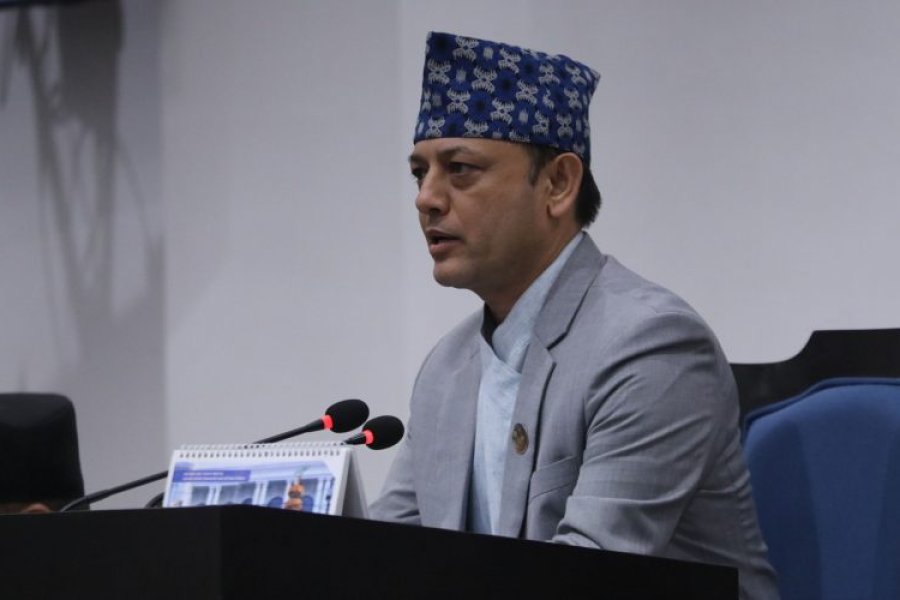 प्रतिनिधिसभा सुरु भएको ९ दिनमै सबै संसदीय समिति गठन
