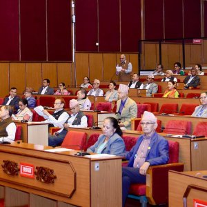 राष्ट्रिय सभामा गठबन्धनको एकलौटी जित, कांग्रेस पहिलो दल बन्यो